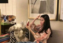 圈内八卦爆料刘亦菲,娱乐圈的神秘女神，揭秘她的不为人知故事